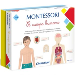 MONTESSORI EL CUERPO HUMANO