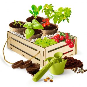 KIT DE JARDINERÍA